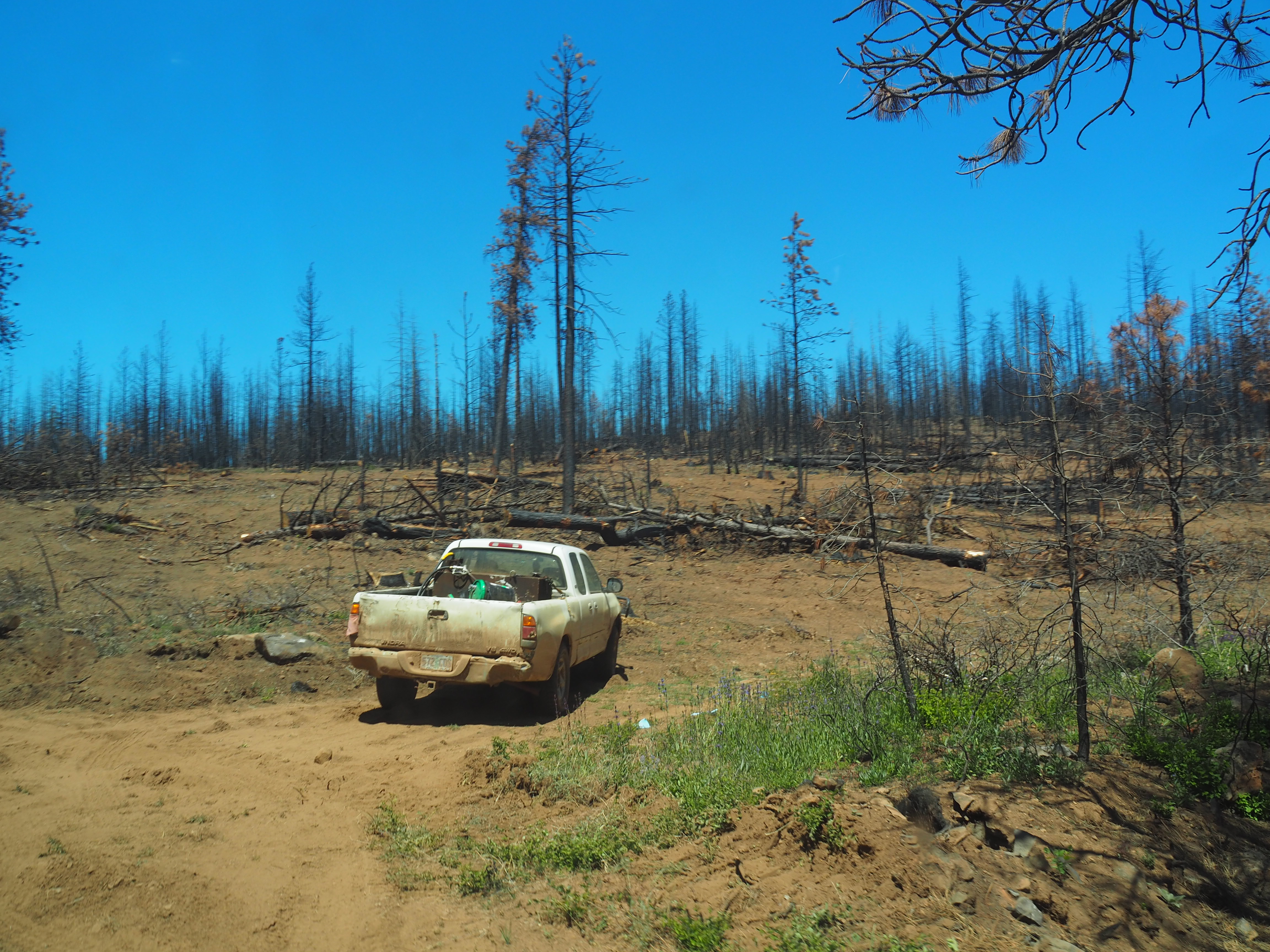 A wildfire scar in central Oregon. CC Lab, 2022.